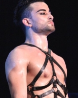 Lady Gaga - Dancer tour harnesses