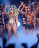 Lady Gaga - Dancer tour harnesses