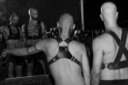 zana-bayne-mens-2015-02